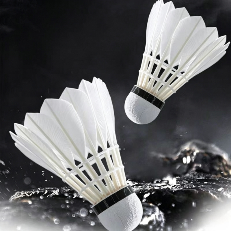 Feather Shuttlecock - Volants de badminton en plumes d'oie