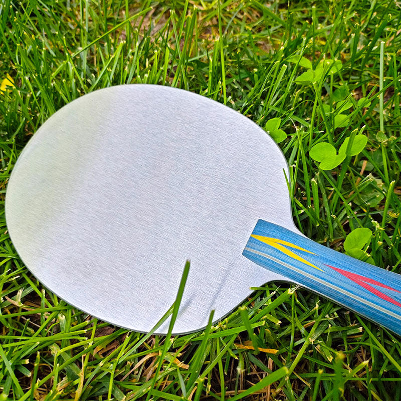 Plaque de base de tennis de ta - Badminton Racket Carbon avis et prix