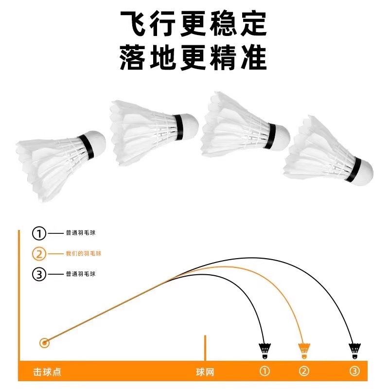Volants de badminton Lion en p - Feather Shuttlecock avis et prix