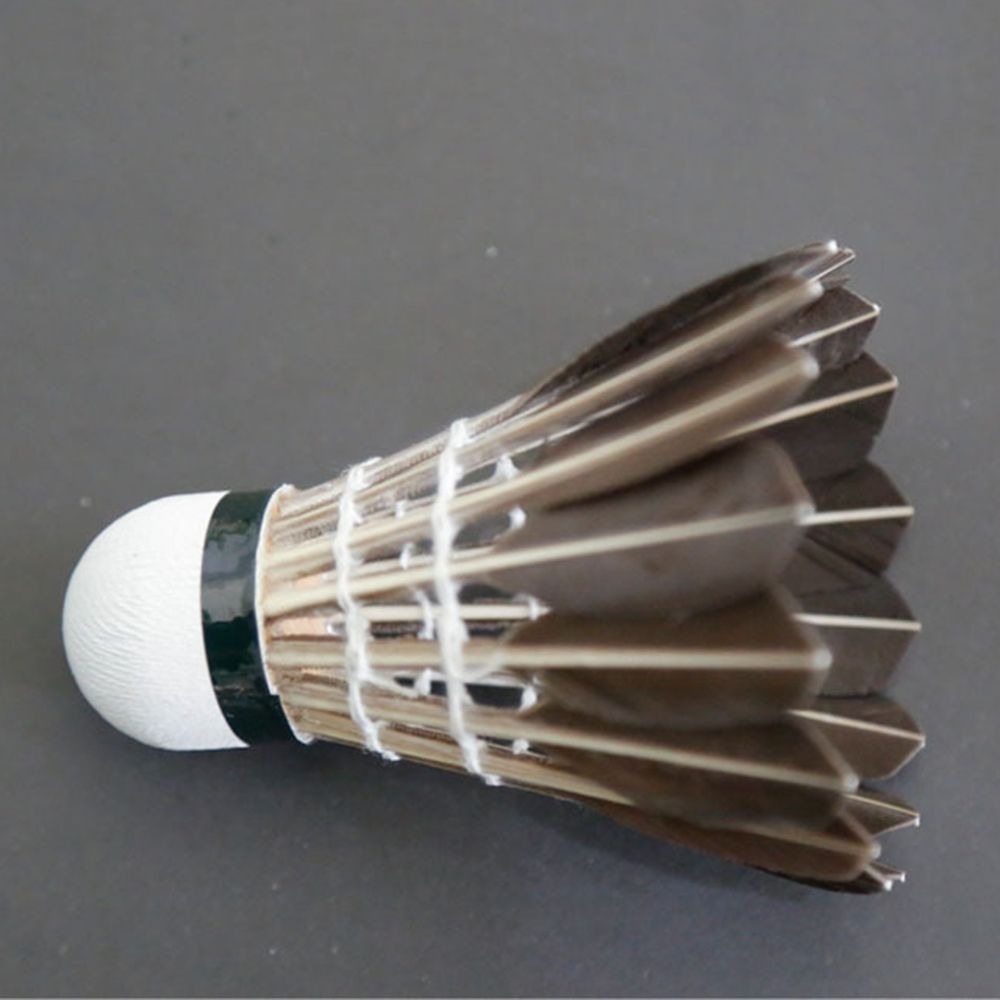 3/6/12 pièces Accessoires de b - Feather Shuttlecock avis et prix