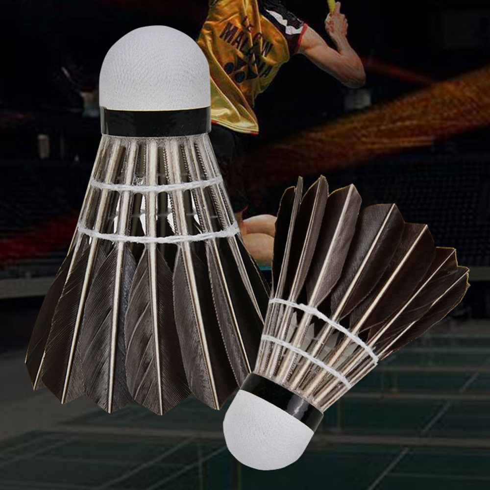 3/6/12 pièces Accessoires de b - Feather Shuttlecock avis et prix