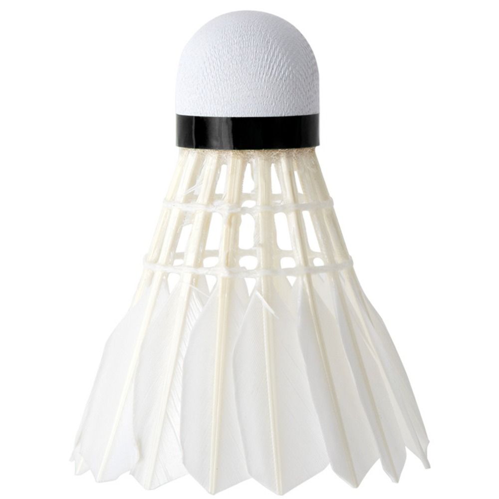 Volants de badminton blancs ne - Feather Shuttlecock avis et prix
